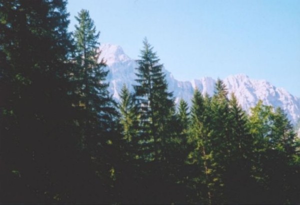 Fotky Zolo (film:5159)